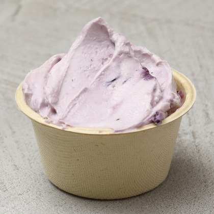 森安　照が撮影した「:albumName」の写真