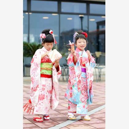 なかがわさとみが撮影した「:albumName」の写真