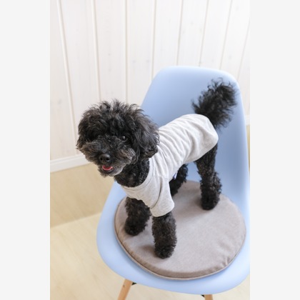 クマが撮影した「ペット撮影」の写真