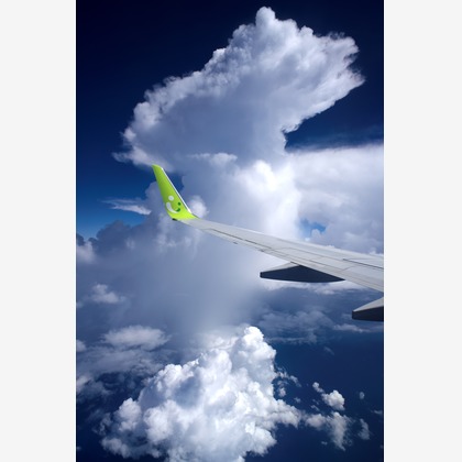 難波卓美が撮影した「:albumName」の写真