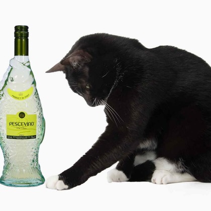 赤木写真事務所（代表　赤木武博）が撮影した商品/物撮り/不動産/竣工の写真