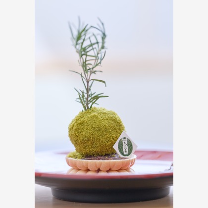 大阪フォトファクトリーが撮影したウェディングや家族、ビジネスの写真