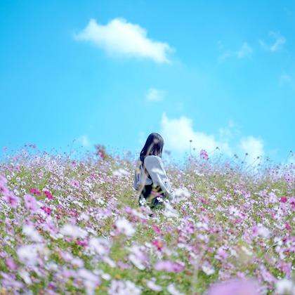 豊澤玲音が撮影した「:albumName」の写真