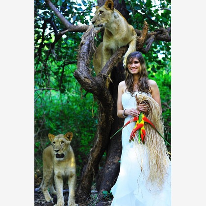 今林 浩一が撮影した「:albumName」の写真