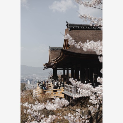 三谷 朋也が撮影した「:albumName」の写真