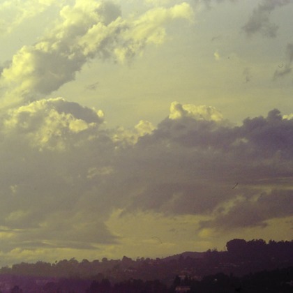 baysidecoyoteが撮影したその他の写真