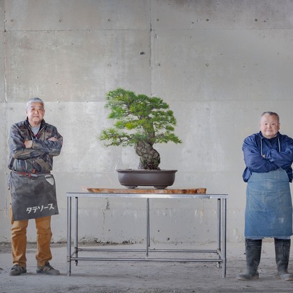 梅田　紫邑が撮影した「:albumName」の写真