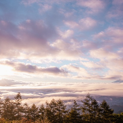 内藤駿介が撮影したその他/商品/物撮りの写真