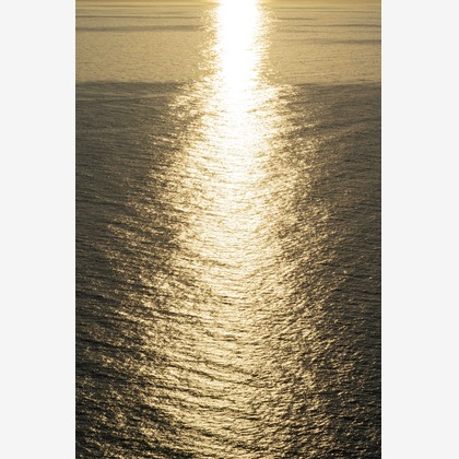 鶴巻直満(T-PHOTO OFFICE)が撮影した「:albumName」の写真