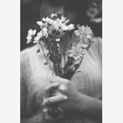 Top Gunが撮影した「:albumName」の写真