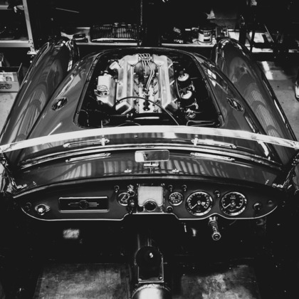 しのみんこフォトが撮影したその他の写真