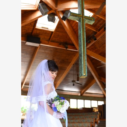 Photo of :albumName taken by TOMOPHOTOHawaii