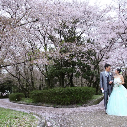 Photo of :albumName taken by WEDDING AVENUE