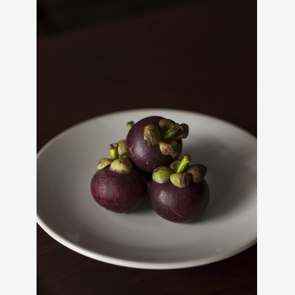 （有）プロヴィデンスが撮影した「:albumName」の写真