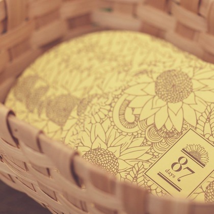  グラフィーズが撮影した「:albumName」の写真