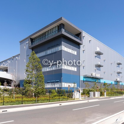 y-photoが撮影した「:albumName」の写真