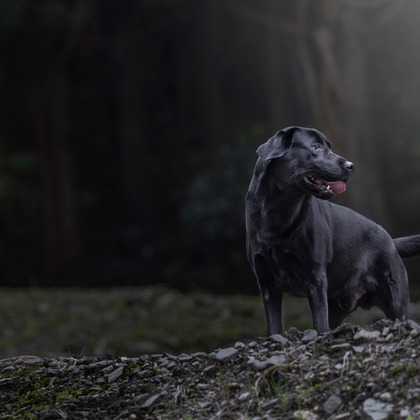 梅田　紫邑が撮影したその他の写真