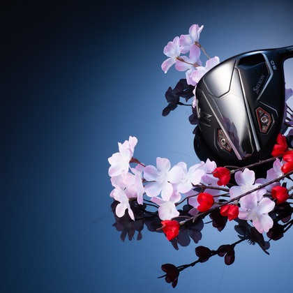 写真屋ごんちゃんが撮影した「:albumName」の写真