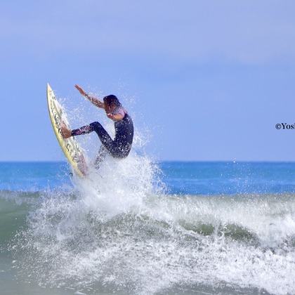 TSD officeが撮影したウェディングや家族、ビジネスの写真