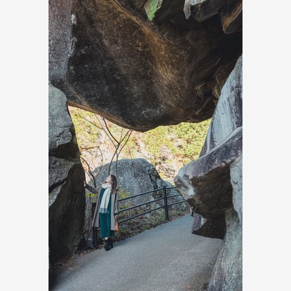 内藤駿介が撮影した「:albumName」の写真