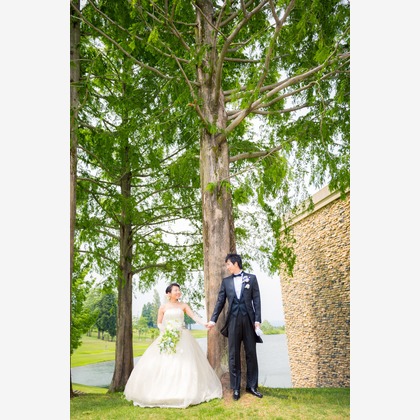 studio HATOYAが撮影した「:albumName」の写真