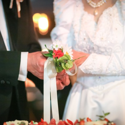 なかがわさとみが撮影した「:albumName」の写真