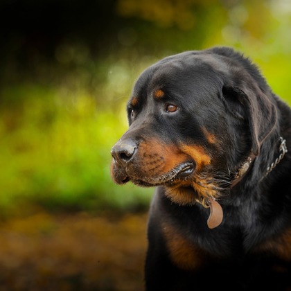 梅田　紫邑が撮影したその他の写真