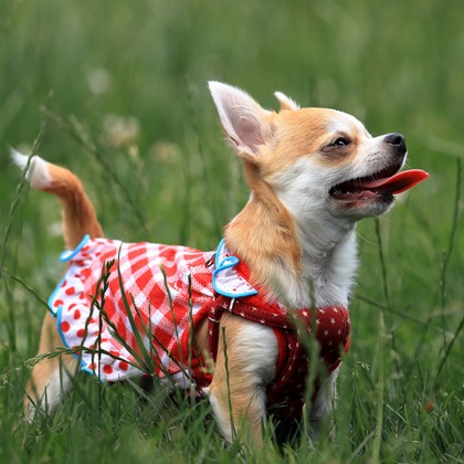 菊原浩司が撮影した「:albumName」の写真