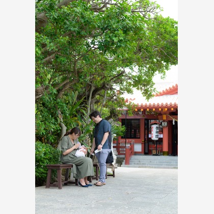 ＥＧＰが撮影した「:albumName」の写真