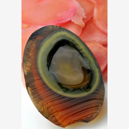 菊地事務所が撮影した「:albumName」の写真