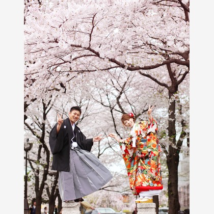 京都好日 (Murata Photo Works)が撮影した「:albumName」の写真