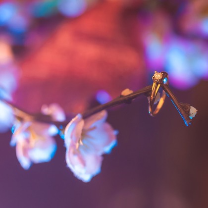 Emadissonが撮影した「:albumName」の写真