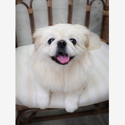 Efu's photographyが撮影した「:albumName」の写真