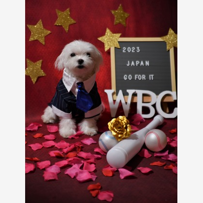 Photo la feliceが撮影した「:albumName」の写真