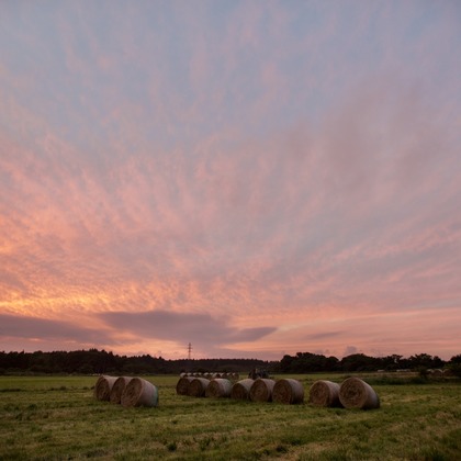 TATEZOUが撮影したイベント/スナップ撮影の写真
