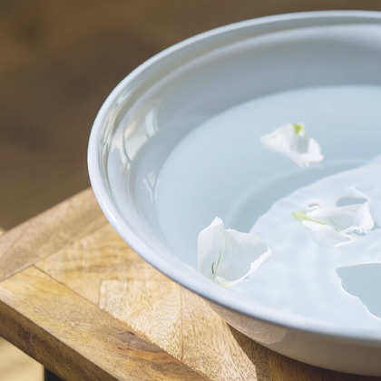 Yoppegraphy Photographic Serviceが撮影した「:albumName」の写真