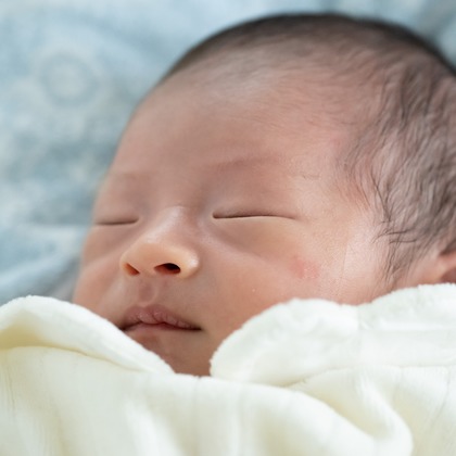 寫樂斎が撮影した「:albumName」の写真