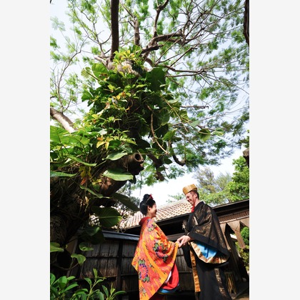 アルルウェディングが撮影した「八重山古民家」の写真