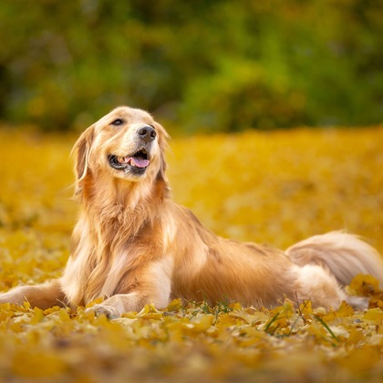 梅田　紫邑が撮影したその他の写真