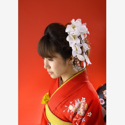 Photo of :albumName taken by 翔写真事務所