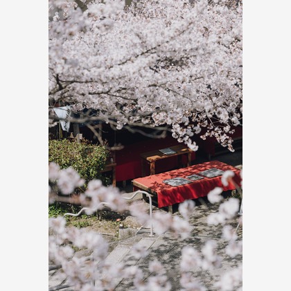 三谷 朋也が撮影した「:albumName」の写真