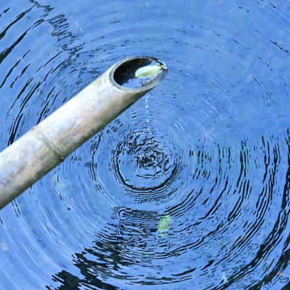 あまかど スタジオが撮影したその他の写真