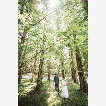 Grassvalley.incが撮影した「:albumName」の写真