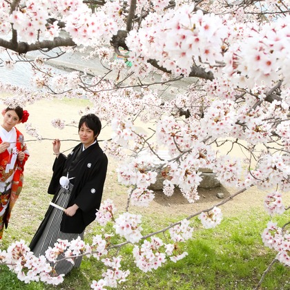 Photo of :albumName taken by Smilehunter