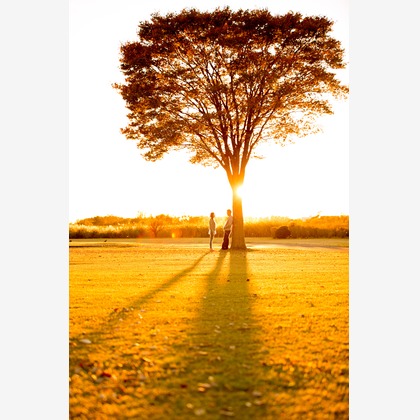 キタノフォトオフィス (北野尚史)が撮影した「:albumName」の写真