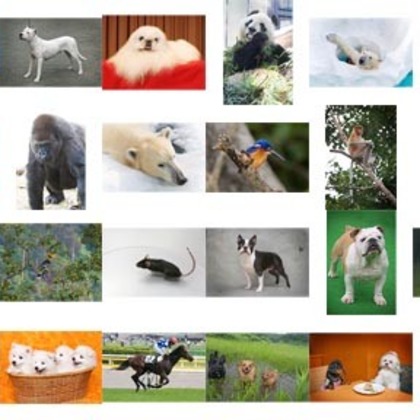 オーロラスタジオが撮影した「:albumName」の写真