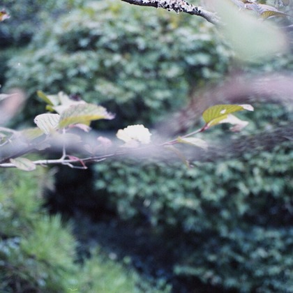 熊谷順写真事務所が撮影したイベント/スナップ撮影の写真