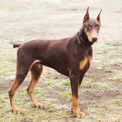 森安　照が撮影した「:albumName」の写真