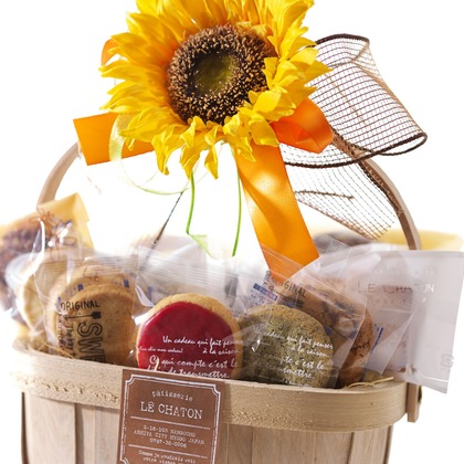 A2FT.jpフォトグラファーまつもとあきらが撮影したウェディングや家族、ビジネスの写真