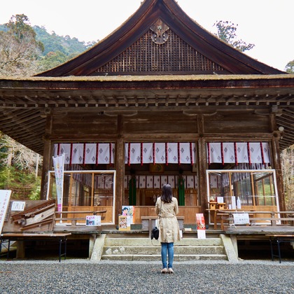 奥野由記が撮影した「:albumName」の写真